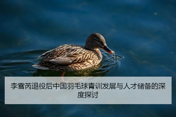 李雪芮退役后中国羽毛球青训发展与人才储备的深度探讨